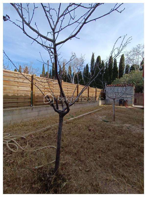 Maison à MONTESQUIEU-DES-ALBERES