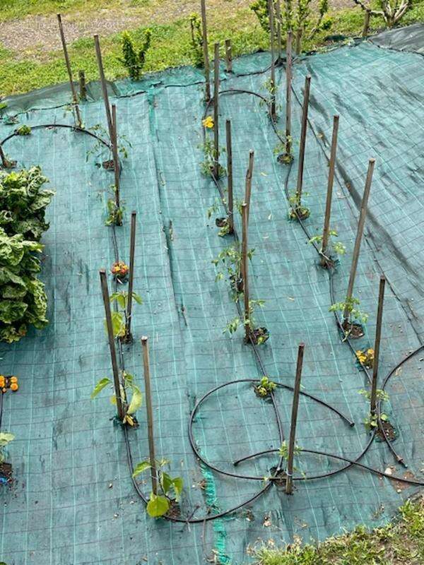 Maison à RIVIERE-SUR-TARN