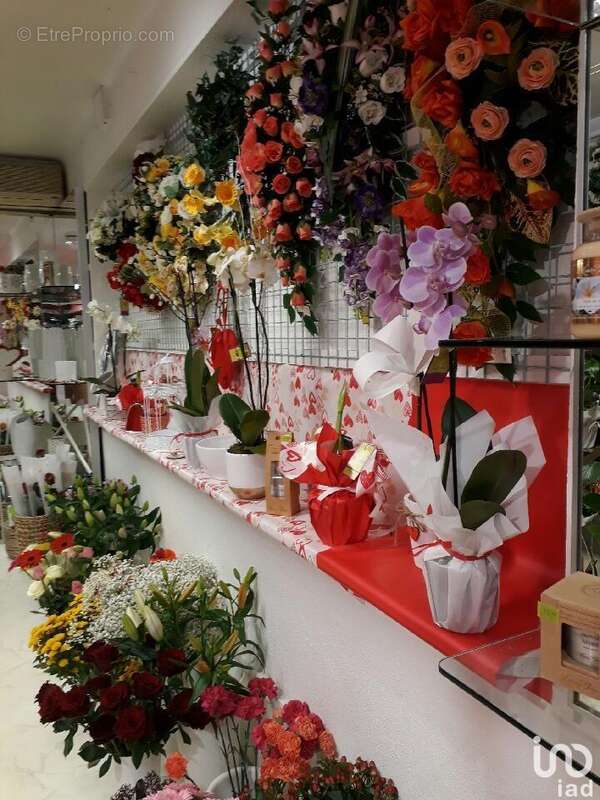 Photo 5 - Commerce à TARASCON-SUR-ARIEGE