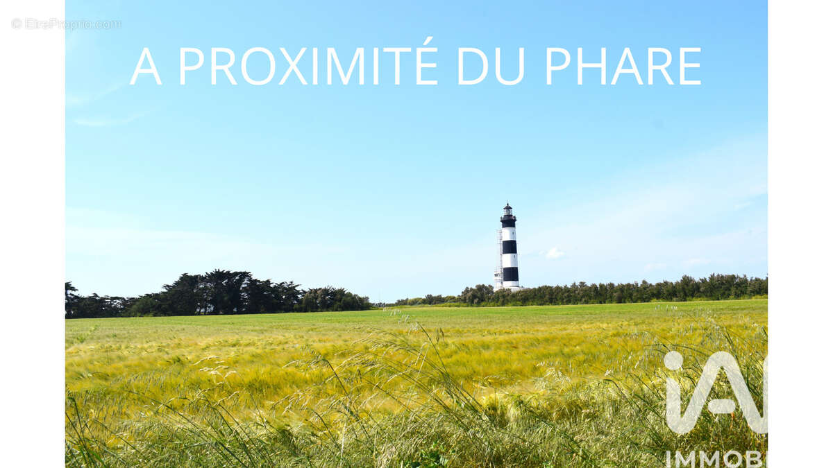 Photo 4 - Terrain à SAINT-DENIS-D'OLERON