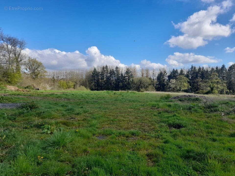 Terrain à SAINT-ANDRE-D'HEBERTOT