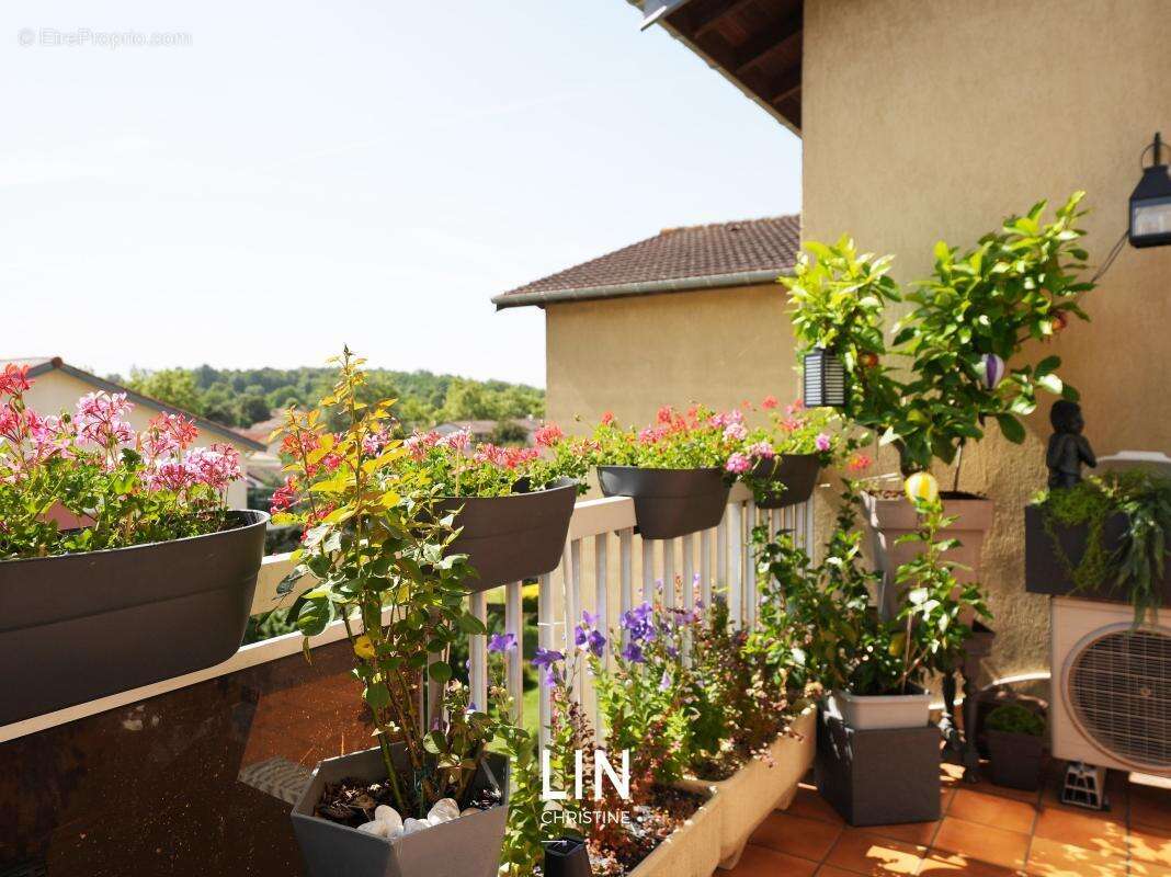 Appartement - photo 2