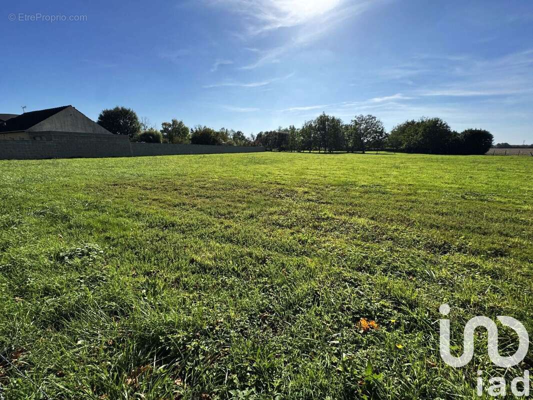 Photo 2 - Terrain à CHAUMES-EN-BRIE