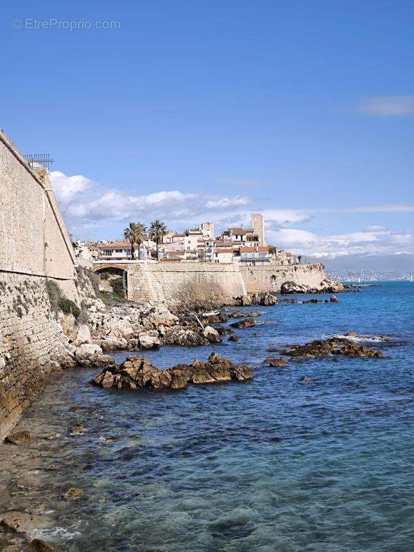 Nouveaute !!! magnifique duplex antibes - photo 27