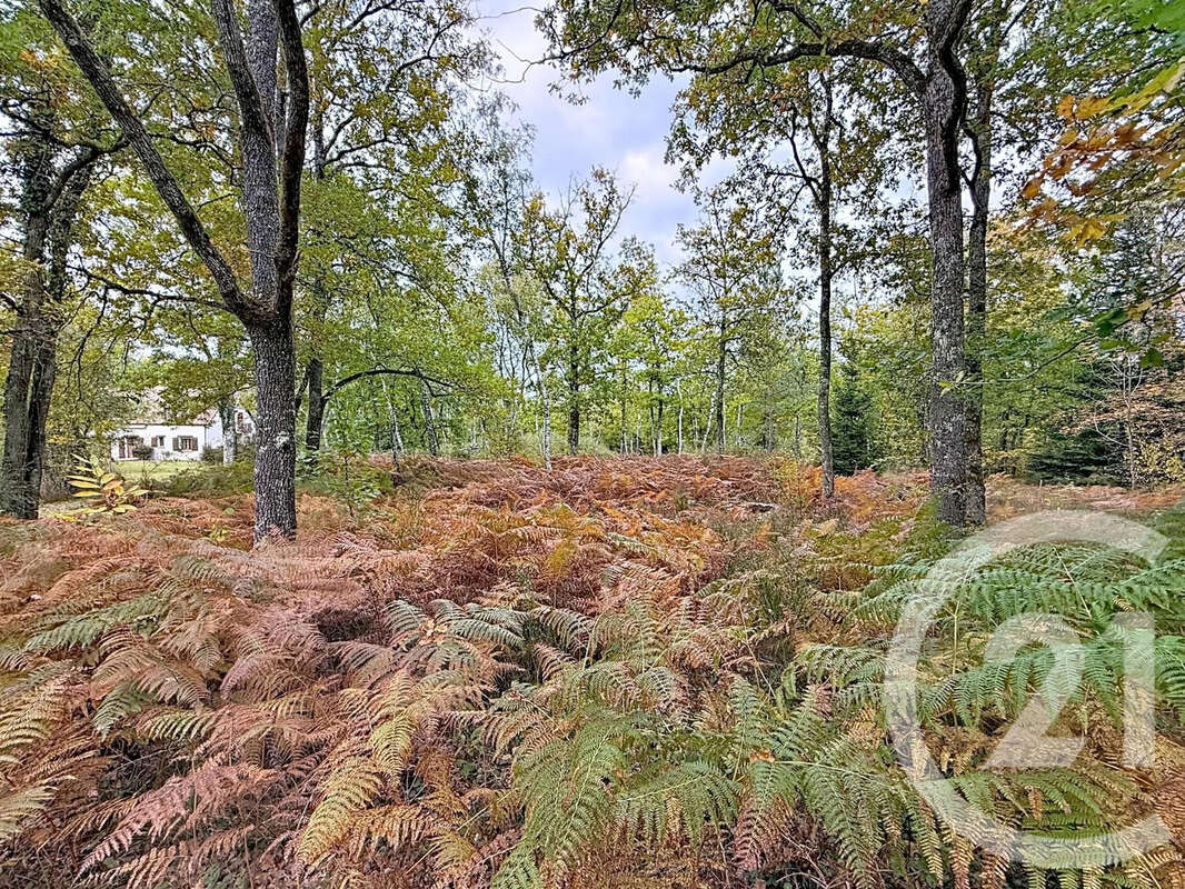 Maison à MENESTREAU-EN-VILLETTE