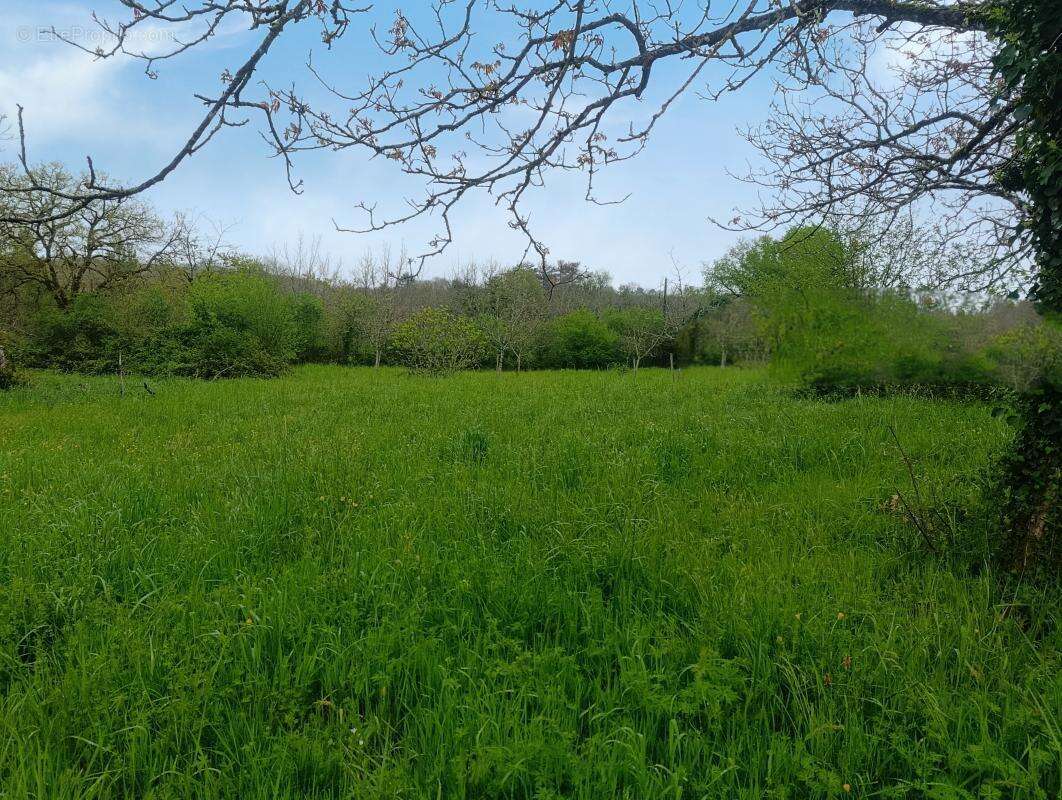 Terrain à SALIGNAC-EYVIGUES