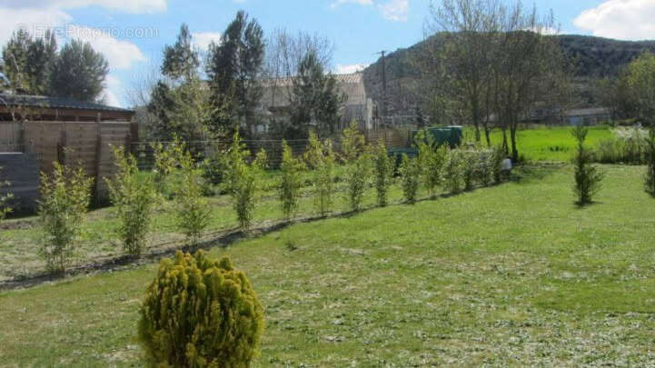 Construction neuve 2 chambres sur grand terrain toutes garanties - photo 4