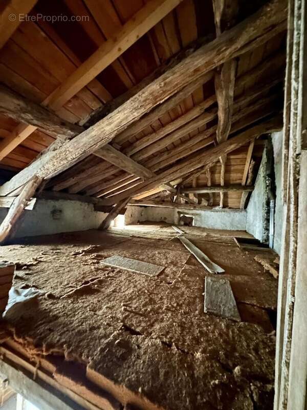 Maison 350 m² à Vabre  - photo 8