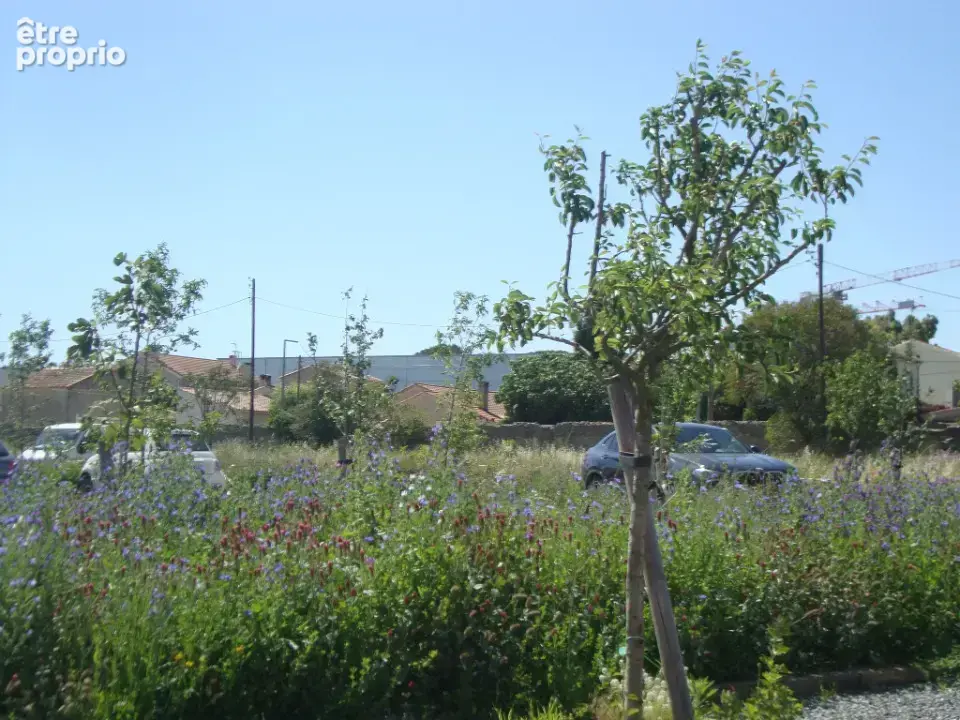 Terrain 255 m² à vendre à Hyeres (83400) - photo 3