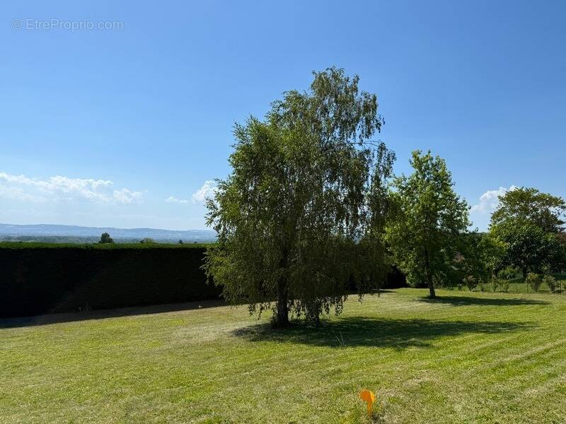 Terrain à REYRIEUX