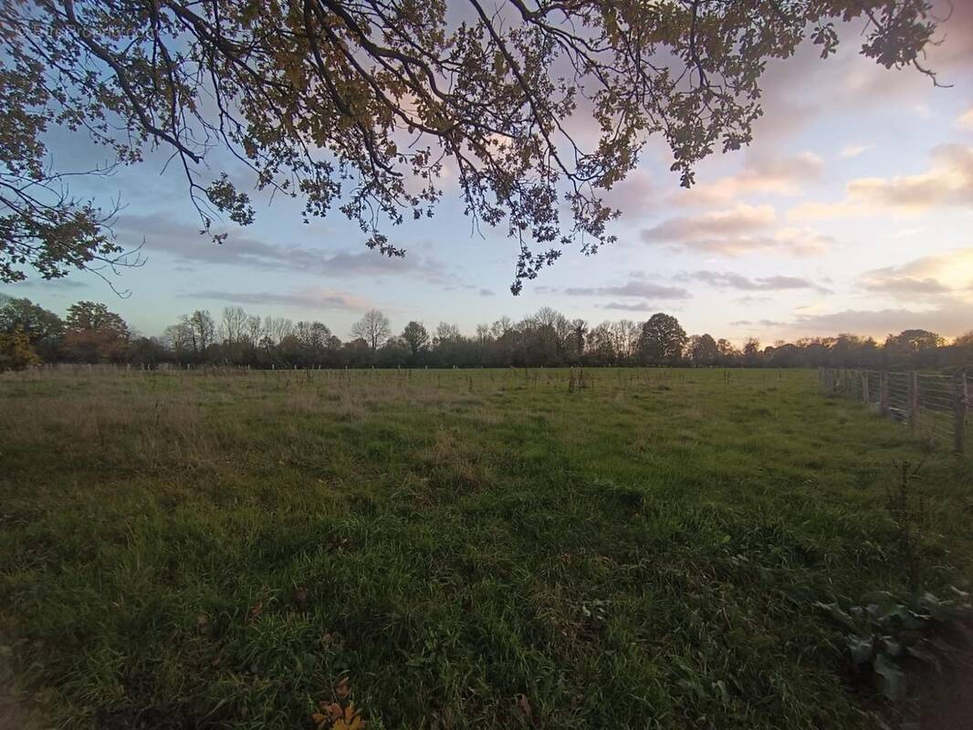 Terrain à SAINT-PHILBERT-DES-CHAMPS