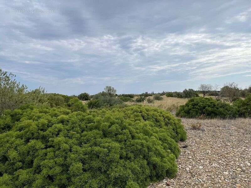 Terrain à SAINT-HIPPOLYTE