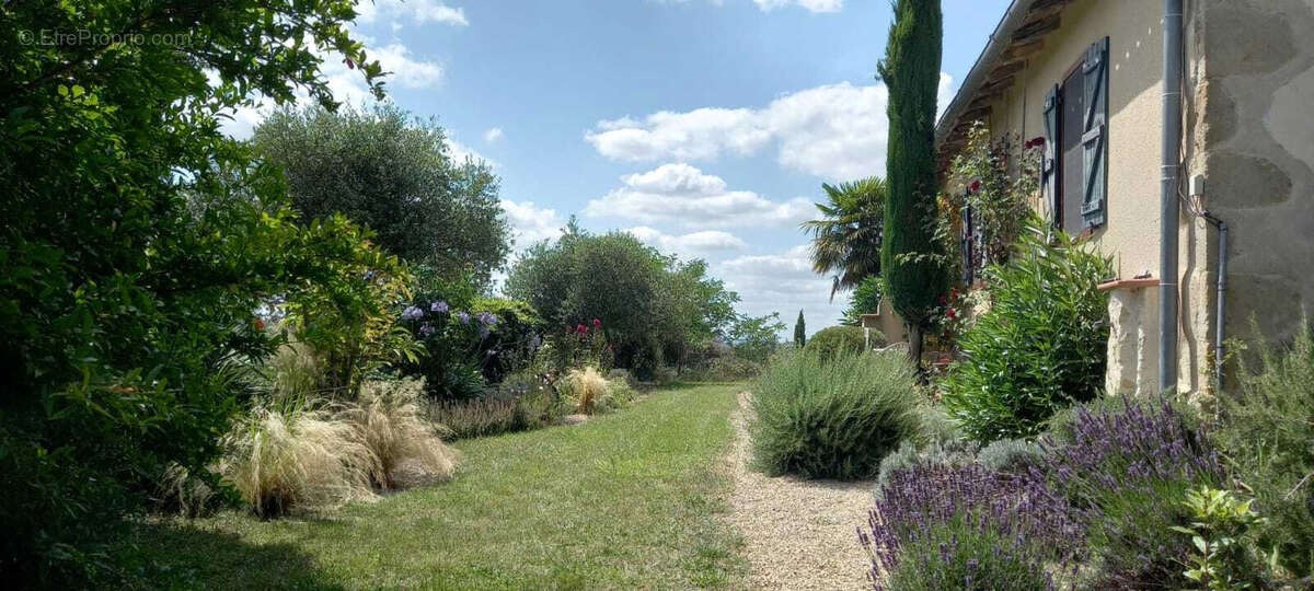 Maison à CASTELNAU-BARBARENS