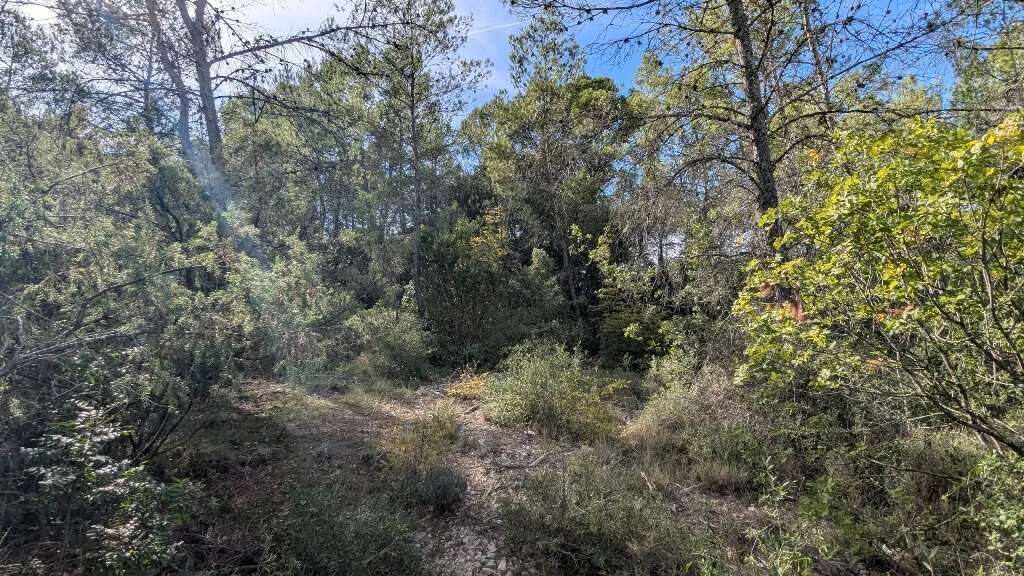 CARCES - Terrain non constructible 9.696m² boisé - photo 4