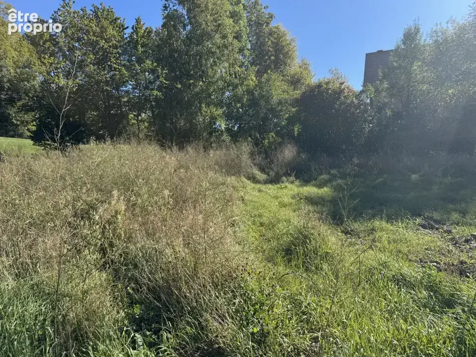 Terrain à FOREST-SAINT-JULIEN