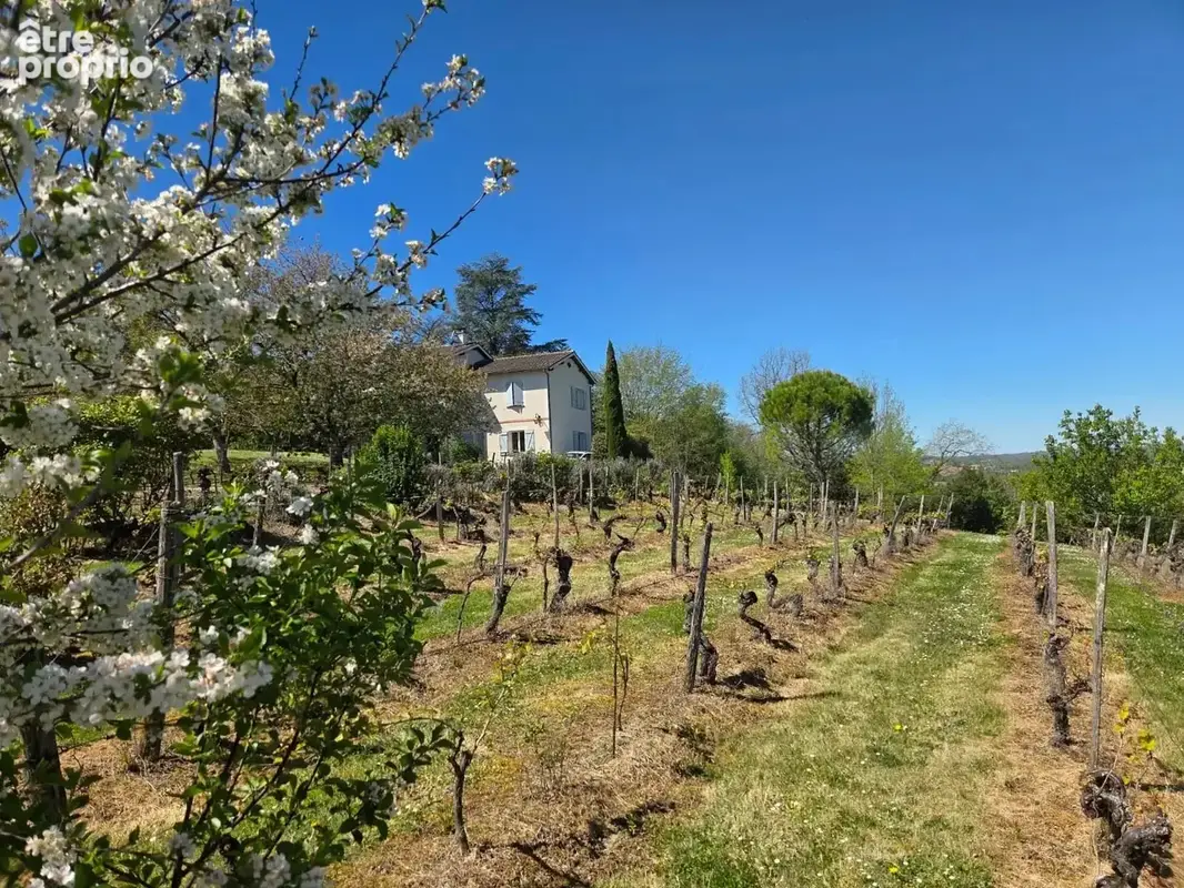 Propriété avec deux habitations - photo 2