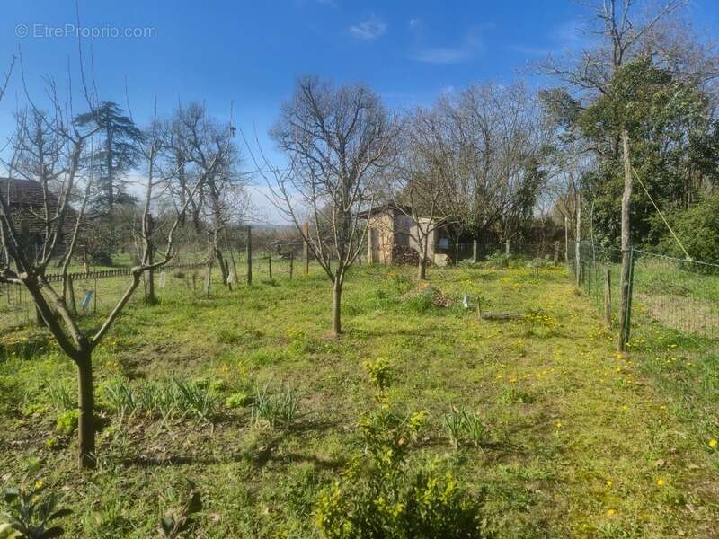Maison à CASTELNAU-D'AUZAN