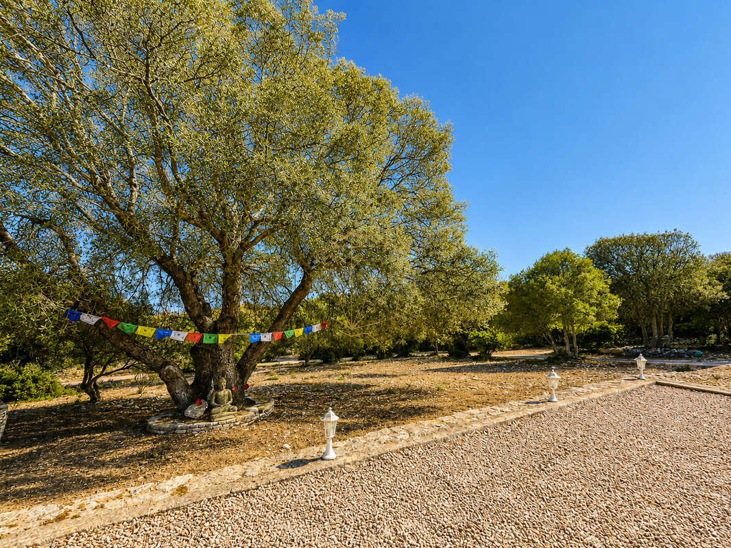Propriété avec dépendance sur grand terrain constructible à 5 min de la plage de Bonifacio - photo 19
