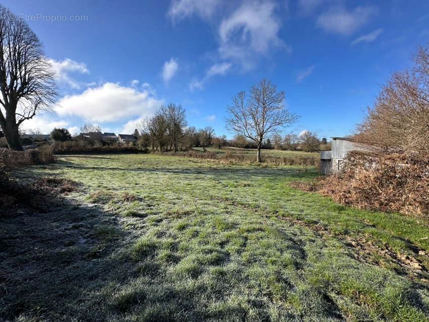 Terrain à SAINT-GEORGES-DE-MONS