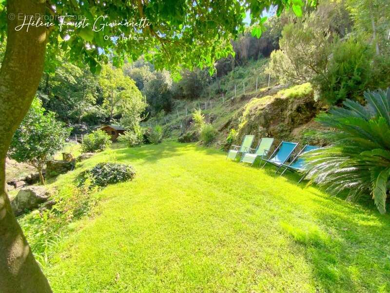 Appartement à OLETTA