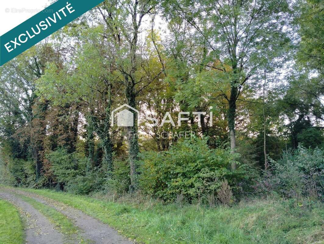 Photo 2 - Terrain à MANOM