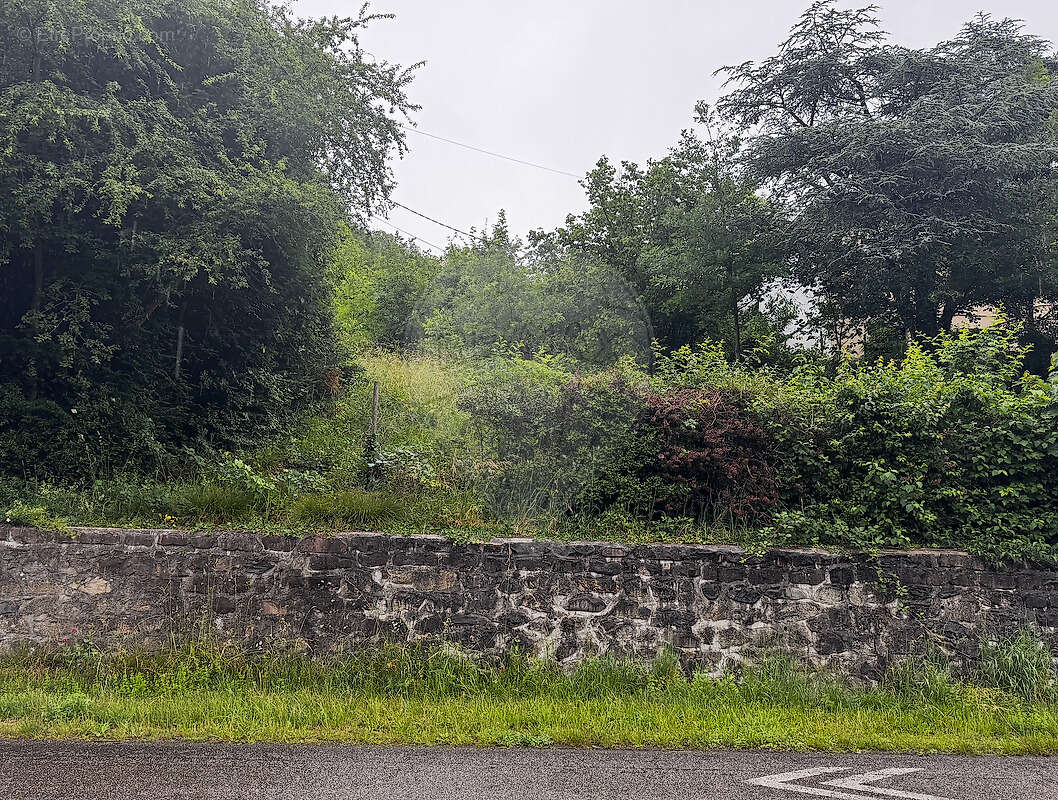 Terrain à LAUTENBACH