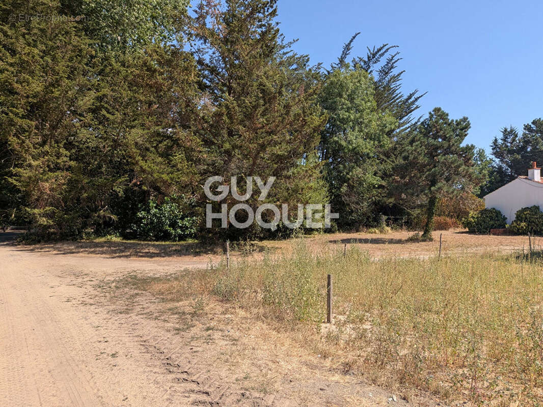 Terrain Saint Hilaire De Riez 1000 m2 - photo 2