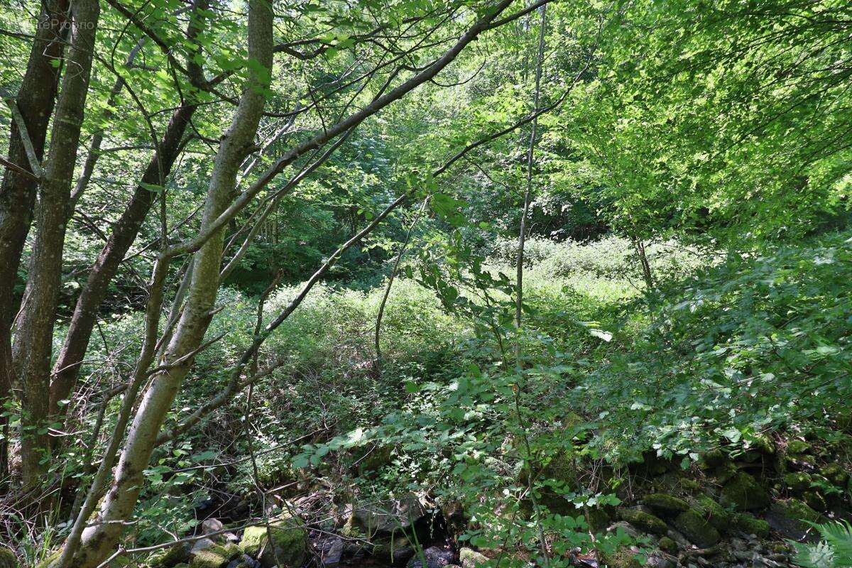 Terrain à LINTHAL