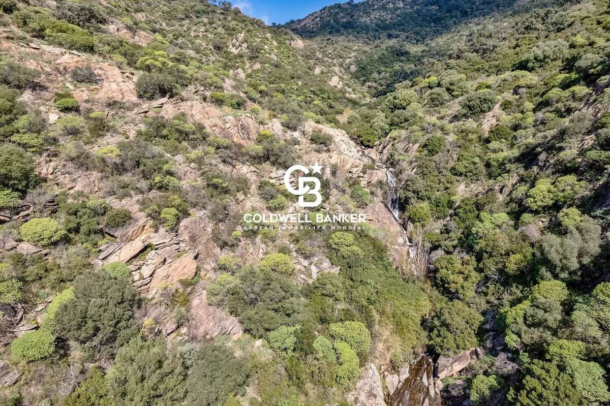 Maison à LE LAVANDOU