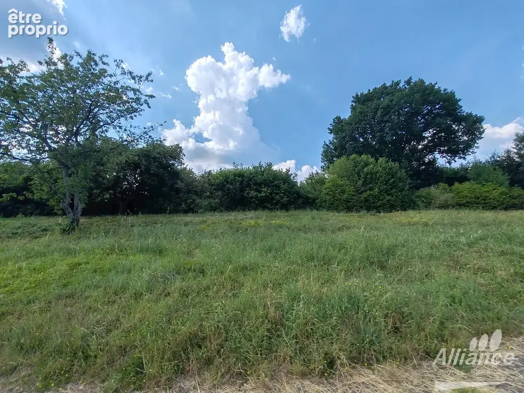 terrain constructible en impasse - photo 3