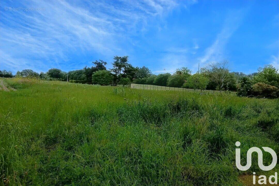 Photo 1 - Terrain à AUREILHAN