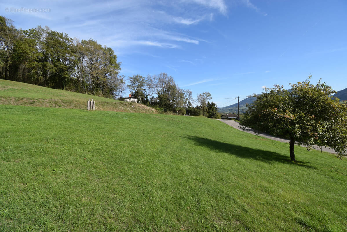 Terrain à ANGLEFORT