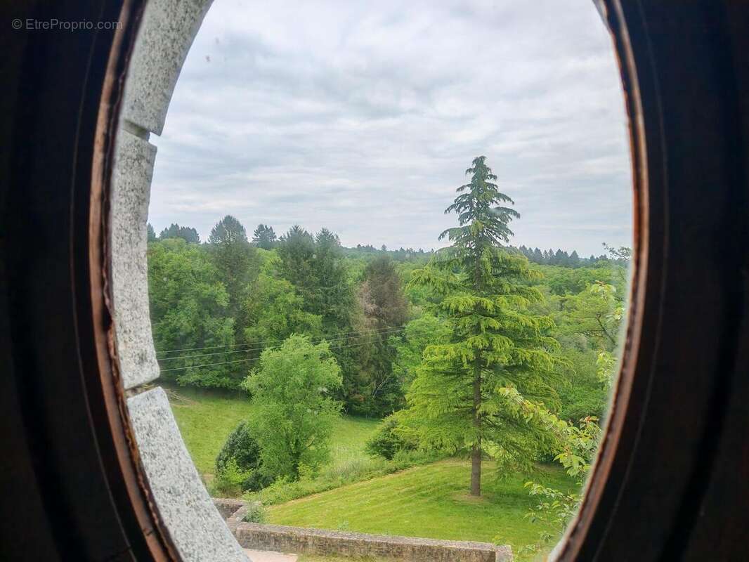 IMG20250507162000 - Maison à PIEGUT-PLUVIERS