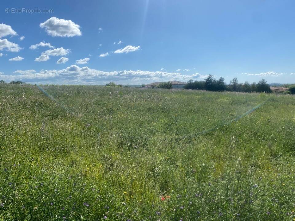 Terrain à SAINT-CHINIAN