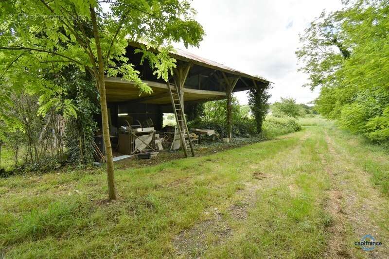 Appartement à MEUSNES