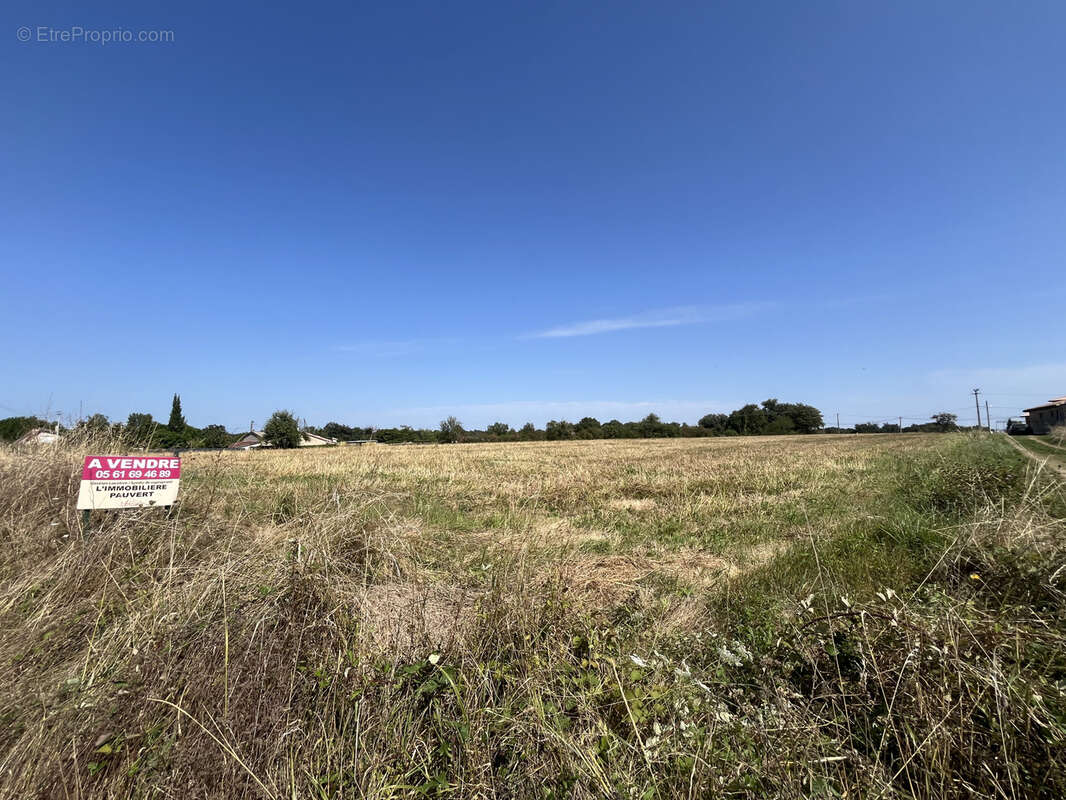 15362 m2 Terrain d'1.5 hectare à vendre à Almayrac, à 20KM d’Albi dans le Tarn (81) - photo 4