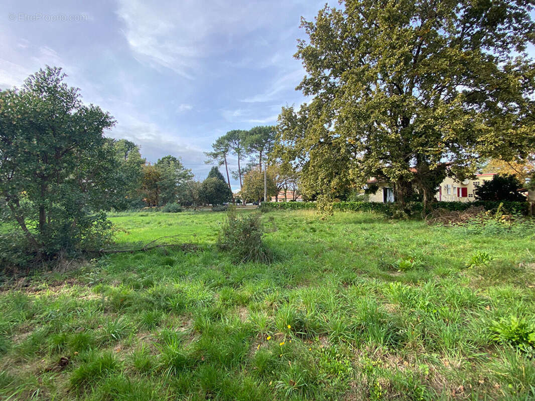 Terrain à GUJAN-MESTRAS