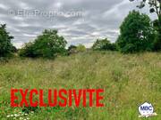 Terrain à MONTREVAULT