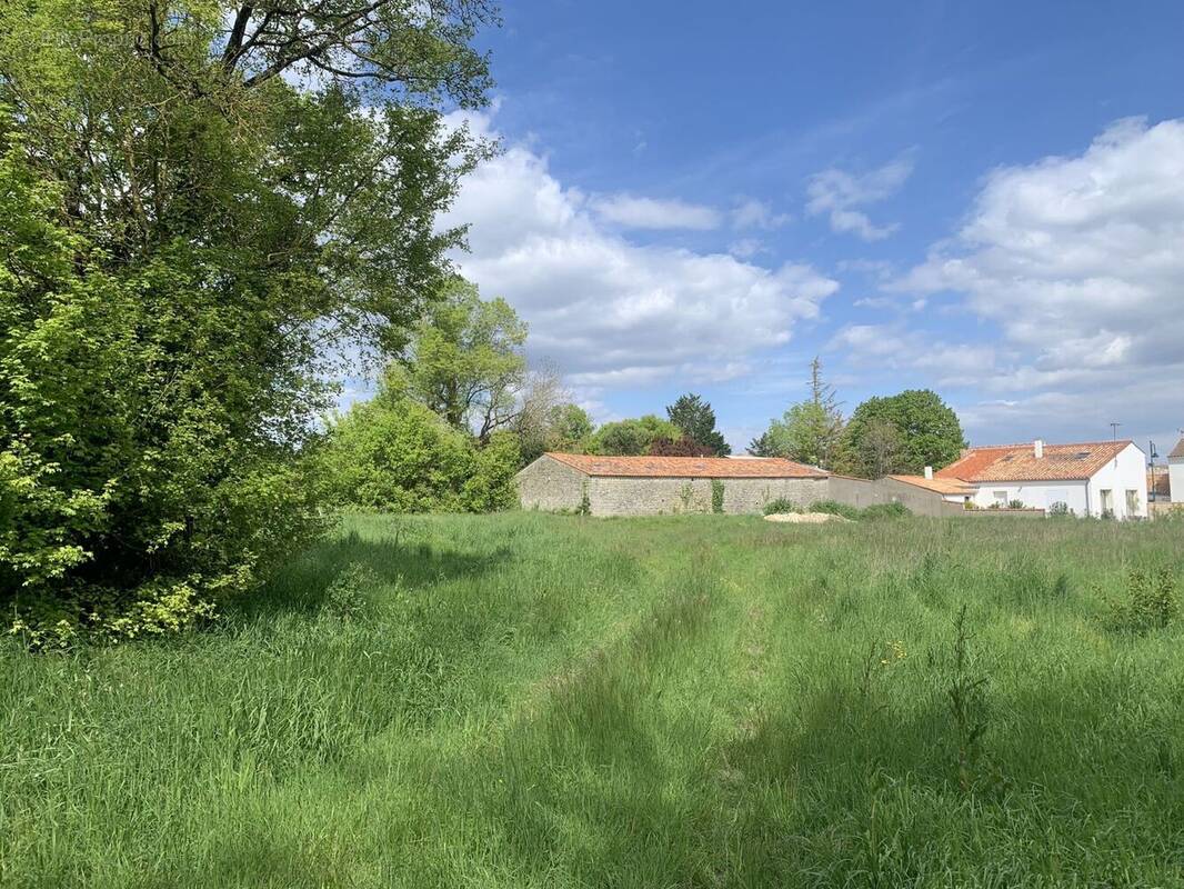 Terrain à FERRIERES