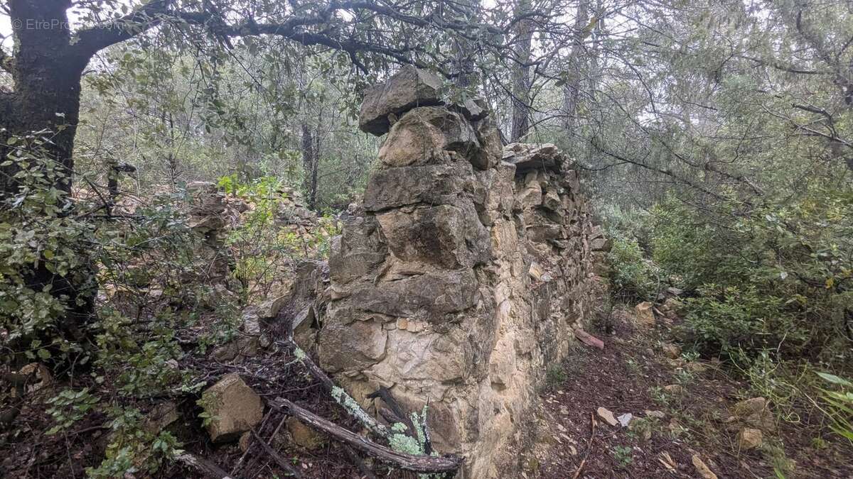COTIGNAC - Rare à la vente 13.992m² boisés avec ruines de cabanon - photo 3