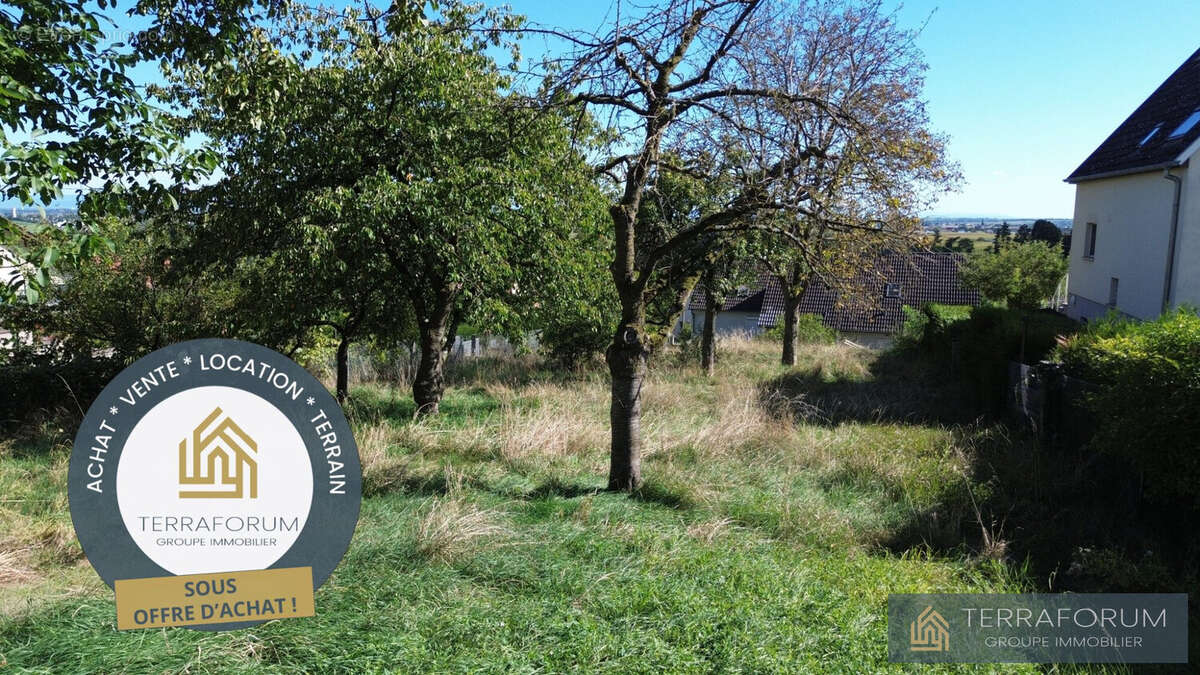 Terrain à DURNINGEN