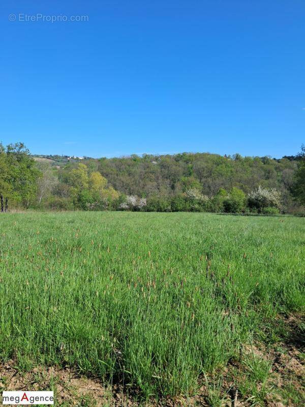 Terrain à CUSSET
