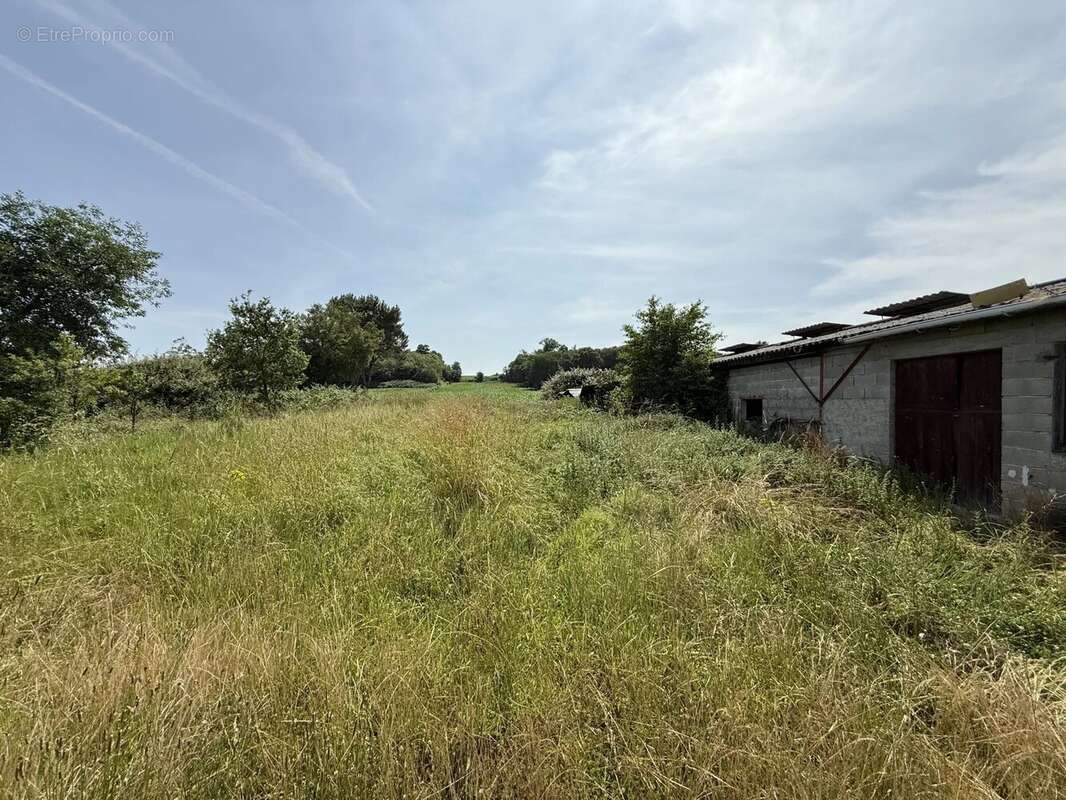 Maison à SAINTE-CHRISTIE-D&#039;ARMAGNAC