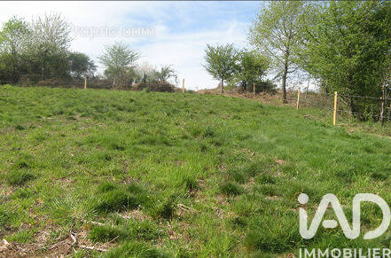 Photo 1 - Terrain à AUNEAU