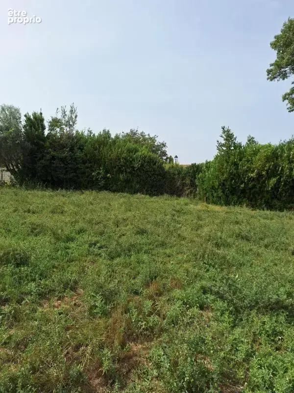 Terrain à SENAS