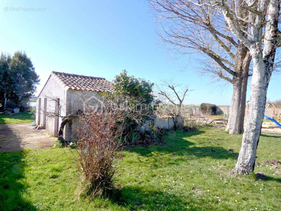 Terrain clos - en partie viabilisé - vue dégagée exceptionnelle sur les marais - photo 2