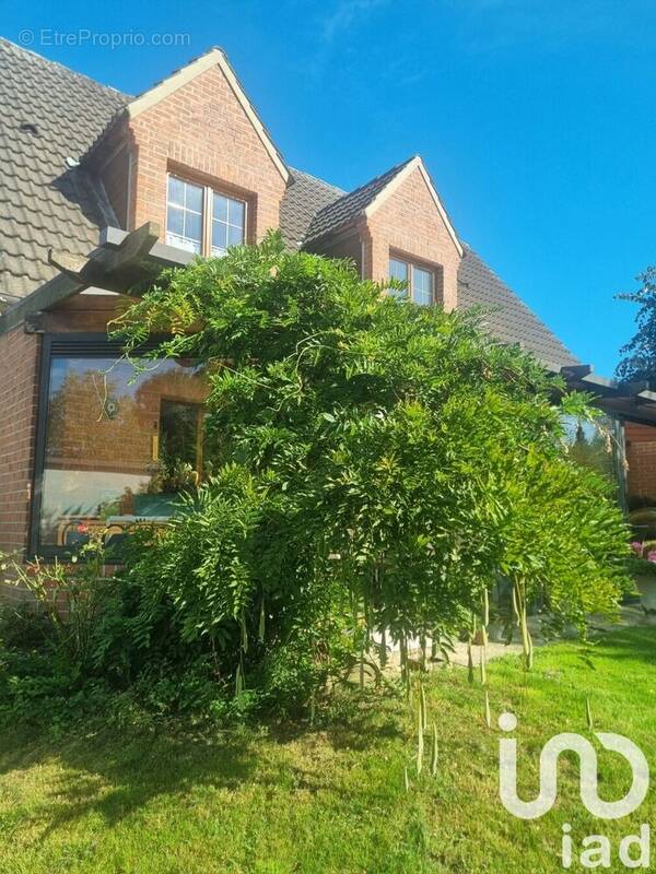 Photo 1 - Maison à VILLENEUVE-D'ASCQ