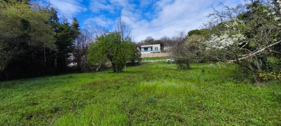 Terrain à MONTELIMAR