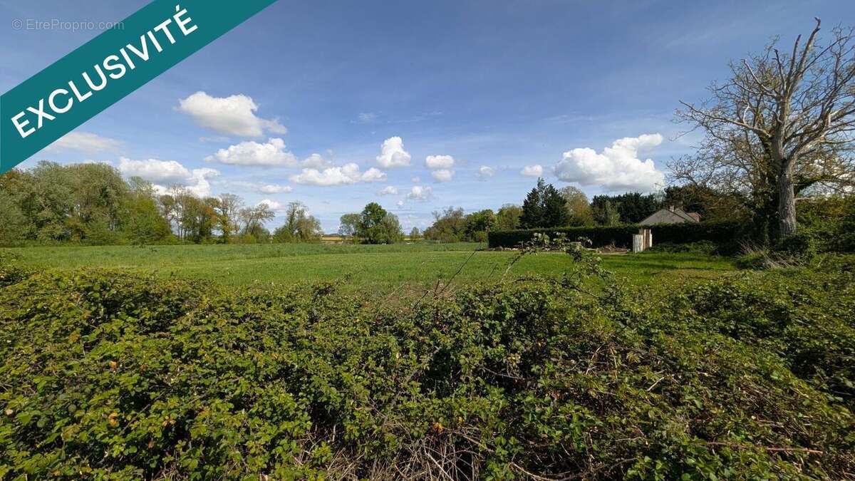 Photo 2 - Terrain à MEURSANGES