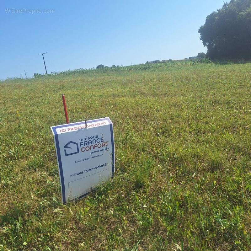 Terrain à MONTAUBAN